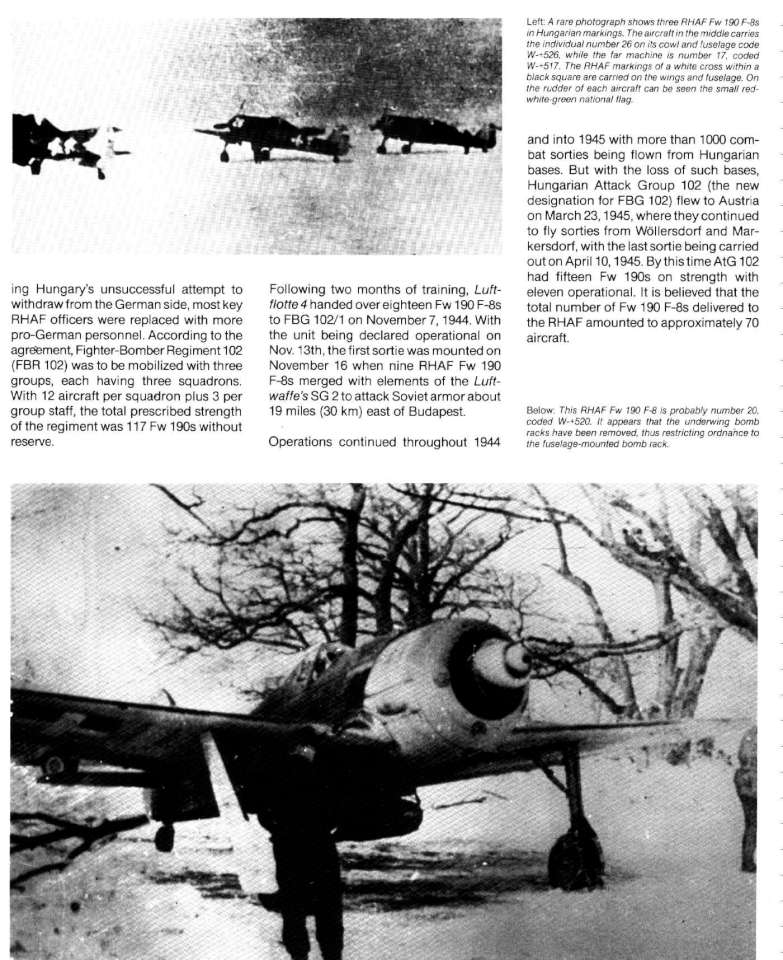 08 Fw190F Page 30-960