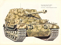 Elefant & Maus 61 (12)-960