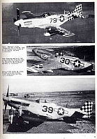 01 North American P-51D Mustang Page 39-960