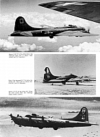 S14 USAAF Bomber Markings & Camo 1941-1945 Vol. 2 Page 37-960