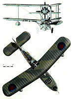 Supermarine Walrus & Seagull (224) Page 13-960