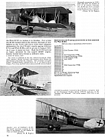 Pfalz DXII (199) Page 10-960