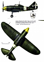 Caproni Reggianne Re2001, 2002, 2005 (244) Page 14-960