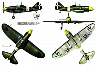 Reggiane Re2001 5view-960