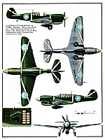 Curtiss P-40 Kittyhawk (136+) Page 02-960