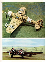 Model Airplanes (47)-960