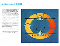 McDonnell FA-18 Hornet 06-960