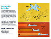 McDonnell FA-18 Hornet 16-960