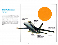 McDonnell FA-18 Hornet 20-960