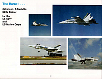 McDonnell FA-18 Hornet 32-960