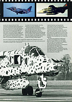 RAF 1989 Page 043-960