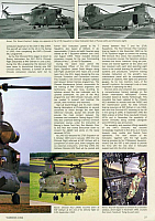 RAF Yearbook 1994 Page 029-960