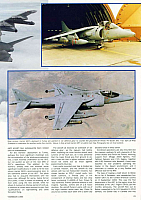 RAF Yearbook 1994 Page 043-960